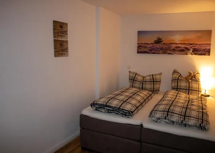 Altstadtidyll 50qm - Terrace - - Washer